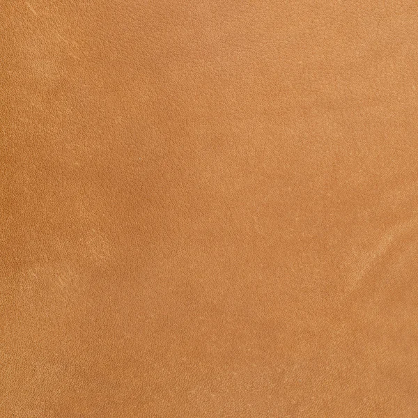 Textura de couro marrom close-up — Fotografia de Stock