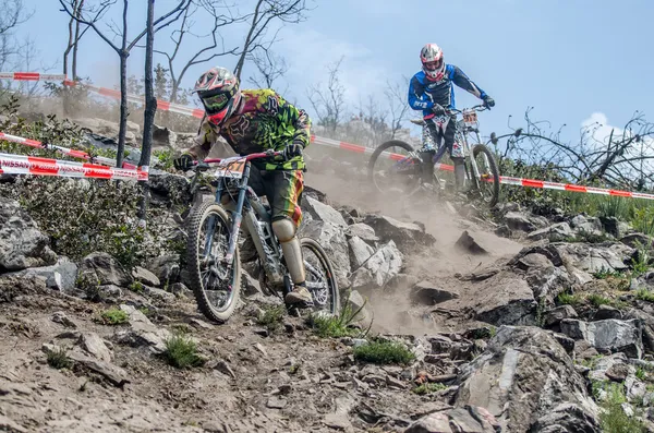 Nuno Machado —  Fotos de Stock