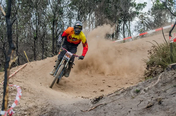 Gonçalo correia — Foto de Stock