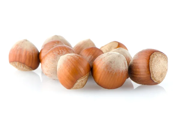 Fresh hazelnuts — Stock Photo, Image