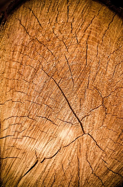 Spleet hout spiraal — Stockfoto