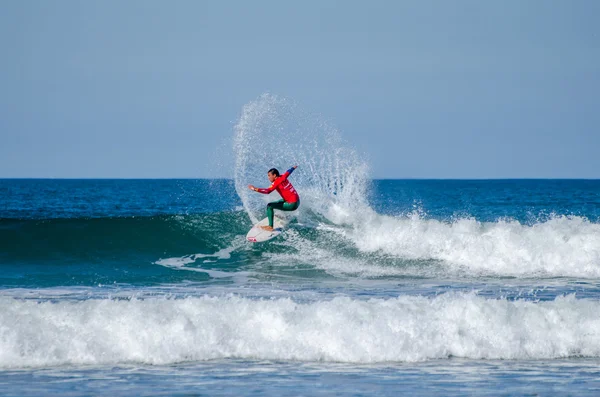 Vasco Ribeiro — Foto Stock