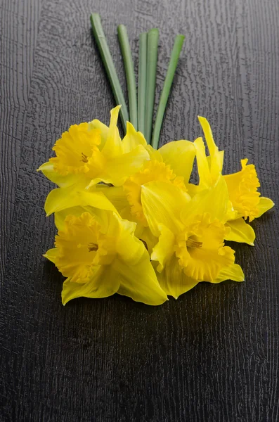 Flores jonquil amarillas —  Fotos de Stock