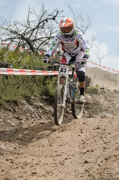 Luis Goncalves — Foto de Stock