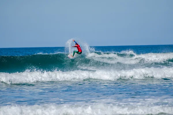 Vasco Ribeiro — Foto Stock