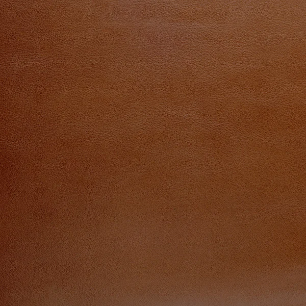 Brown leather texture closeup — Stock Photo, Image