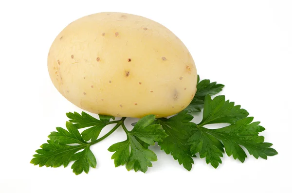 Νέα πατάτας και πράσινο μαϊντανό — Φωτογραφία Αρχείου