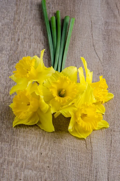 Flores de jonquil — Fotografia de Stock