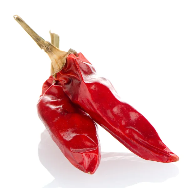 Two red hot chili pepper — Stock Photo, Image