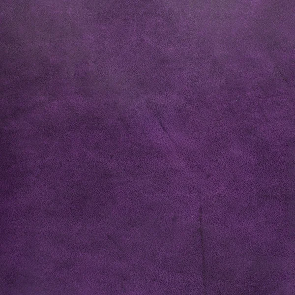 紫色皮革 — 图库照片