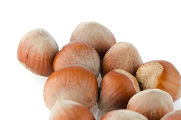 Fresh hazelnuts — Stock Photo, Image