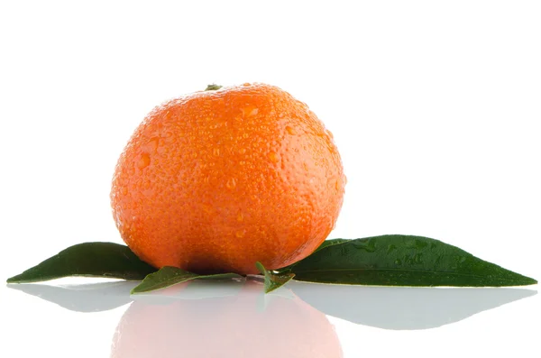 Verse oranje Mandarijn — Stockfoto