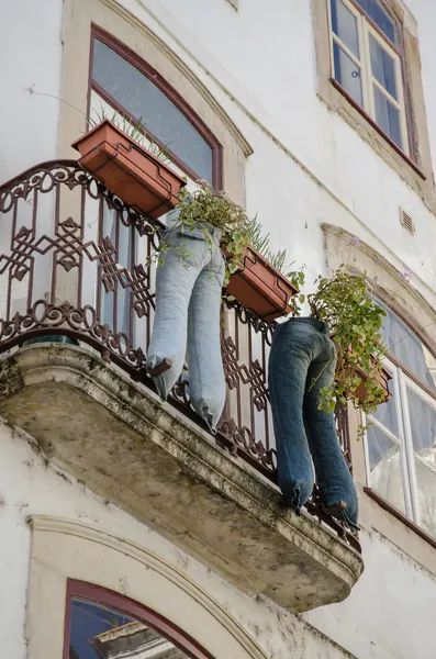 Moderna återvunna jeans vas med växter — Stockfoto