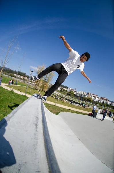 Pedro Machado — Stok Foto