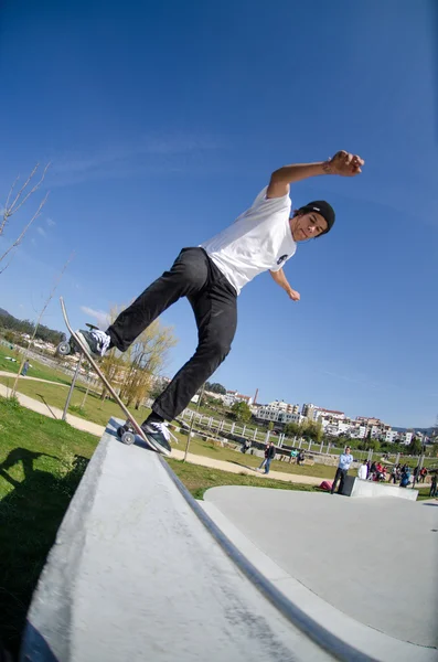 Pedro Machado — Stok fotoğraf