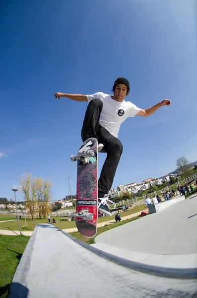 Pedro Machado — Stockfoto