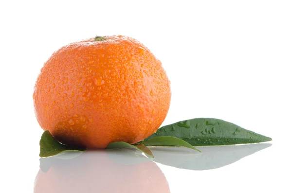 Verse oranje Mandarijn — Stockfoto