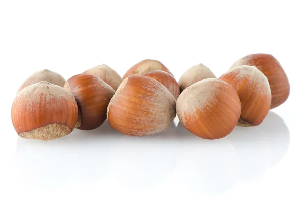 Fresh hazelnuts — Stock Photo, Image