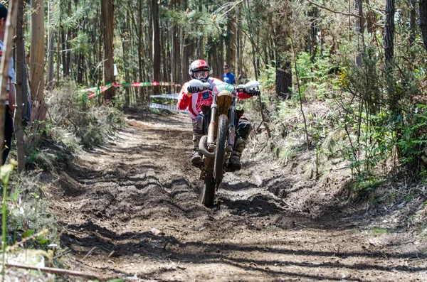 Joao Luciano — Stockfoto