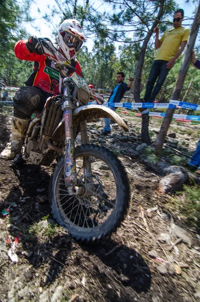 Fausto Frade —  Fotos de Stock