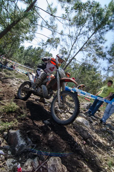 Ignacio Ponga — Stockfoto