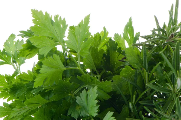 Fresh herbs — Stock Photo, Image