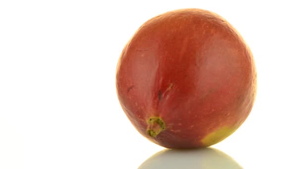 Reife appetitliche Mango isoliert auf weiß — Stockvideo