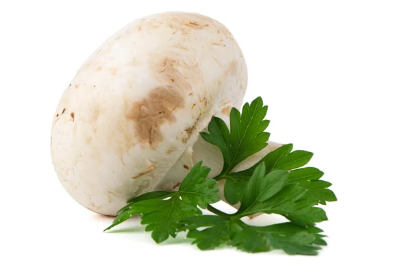 Champignon mushroom and parsley leaves — Stock Photo, Image