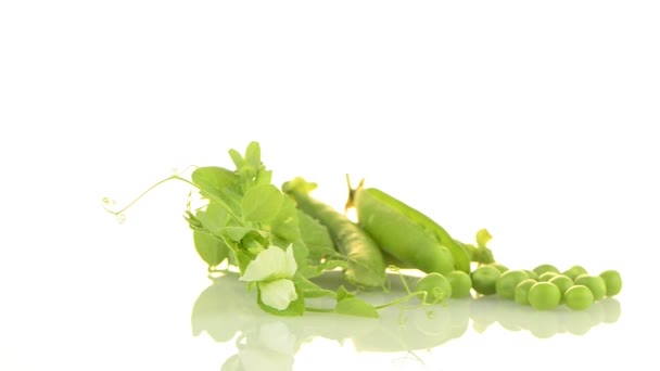 緑のエンドウ豆 — ストック動画