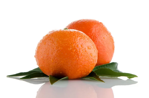 Mangerinas maduras o mandarina —  Fotos de Stock