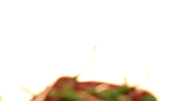 Červené chilli papričky — Stock video