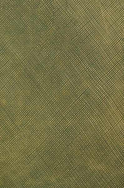 Texture cuir vert gros plan — Photo