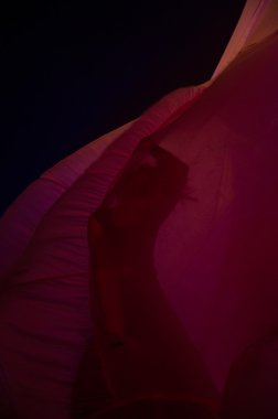 antagon tiyatro aktion