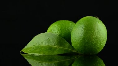 taze yeşil limes