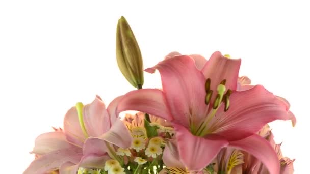 Pink lilies — Stock Video