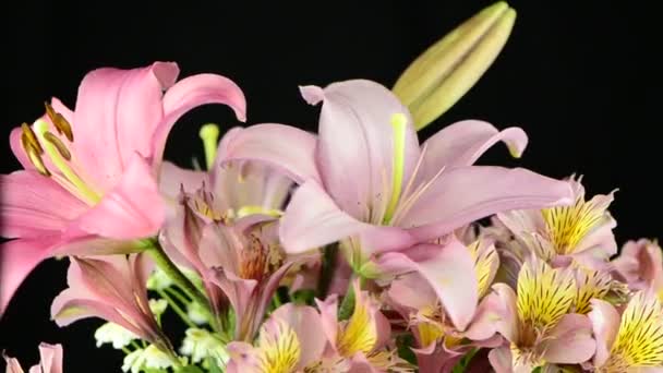 Lys roses 