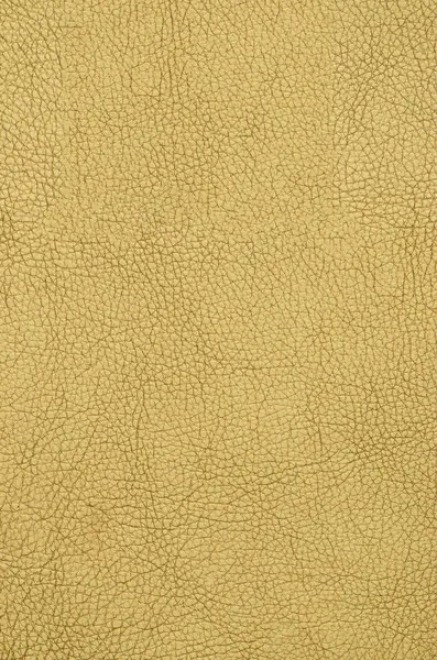 Goldene Farbe Leder — Stockfoto