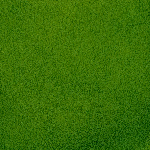 Zielona skóra tekstura zbliżenie — Zdjęcie stockowe