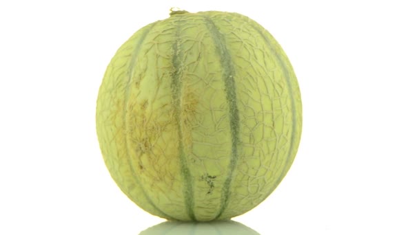 Melón melón — Vídeos de Stock