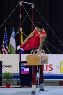 Joel Vergara (Chi)