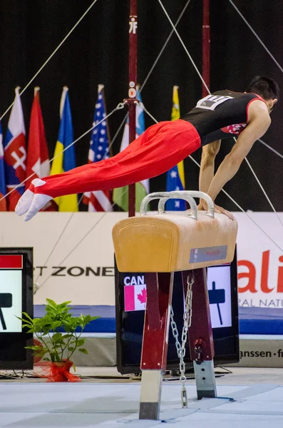 Kenneth Ikeda (Can) — Stok fotoğraf