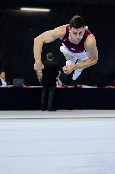 Vitalijs Kardasovs (LAT) — Fotografia de Stock