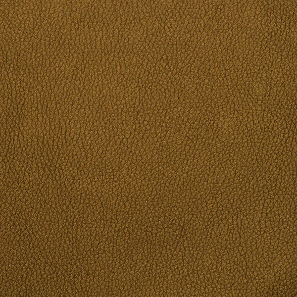 Golden color leather — Stock Photo, Image