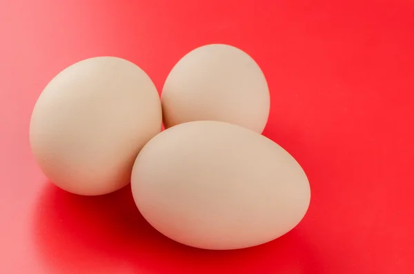 Three brown eggs — Stock Photo, Image