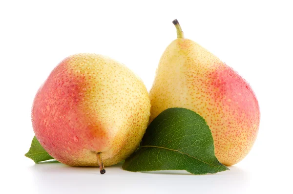 Two ripe pears — Stock Photo, Image