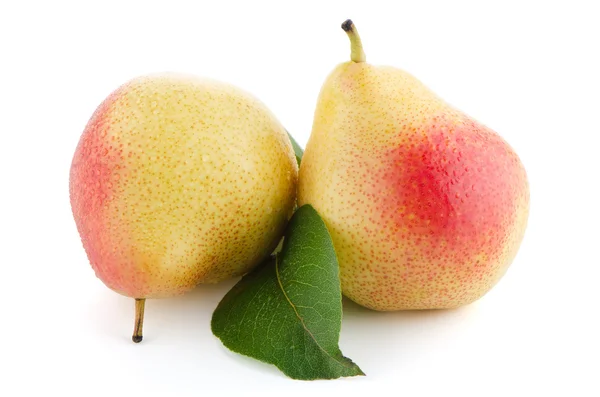 Two ripe pears — Stock Photo, Image