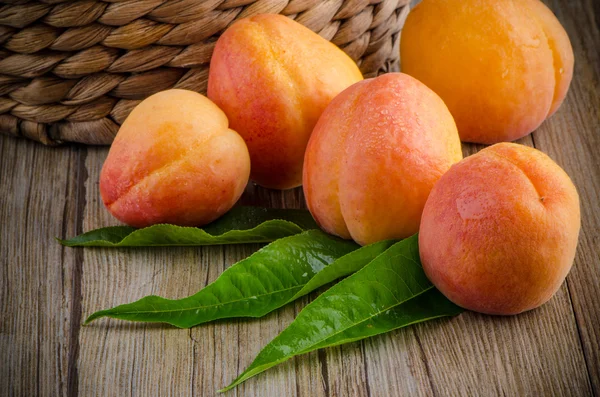 Apricots with leaves — Stock Photo, Image