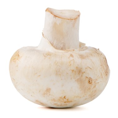 champignon mantarı