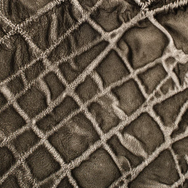 Cuero gris —  Fotos de Stock