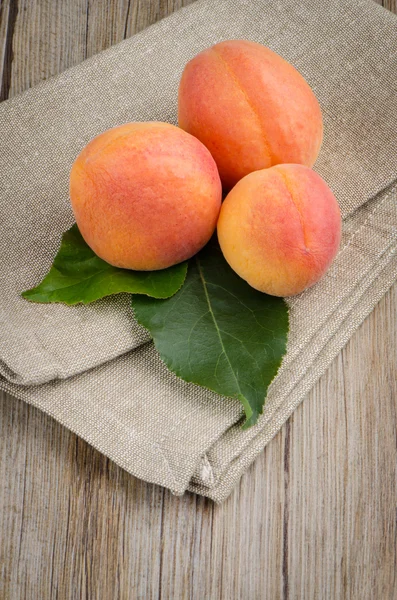 Albaricoques con hojas — Foto de Stock